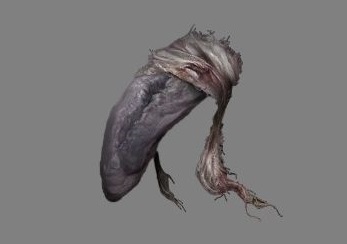 Бледный Язык - предмет ковенанта Пальцы Розарии в игре Dark Souls 3.